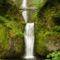 multnomah waterfalls