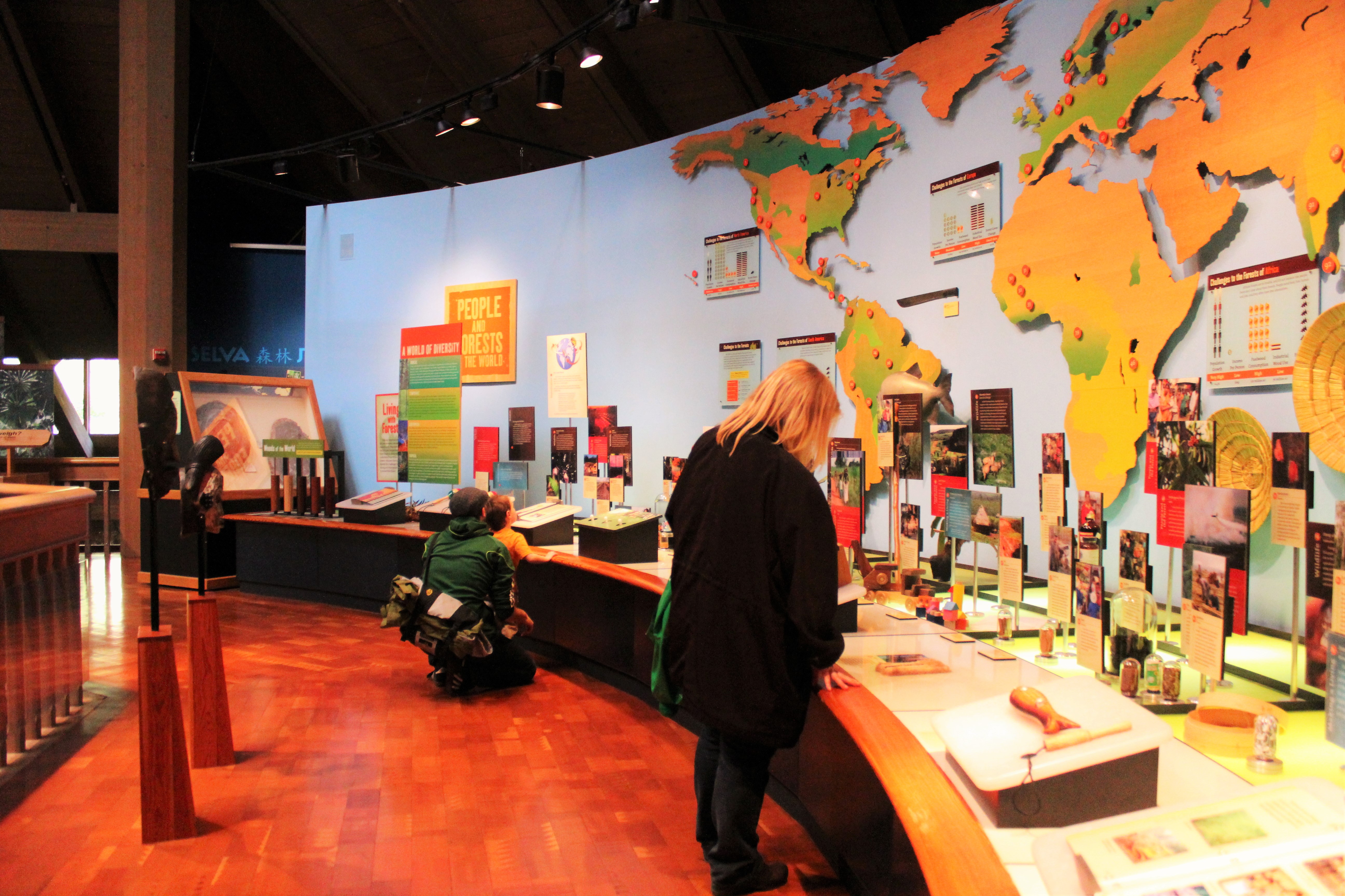 Exhibit at the World Forestry Center, photo by Carrie Uffindell