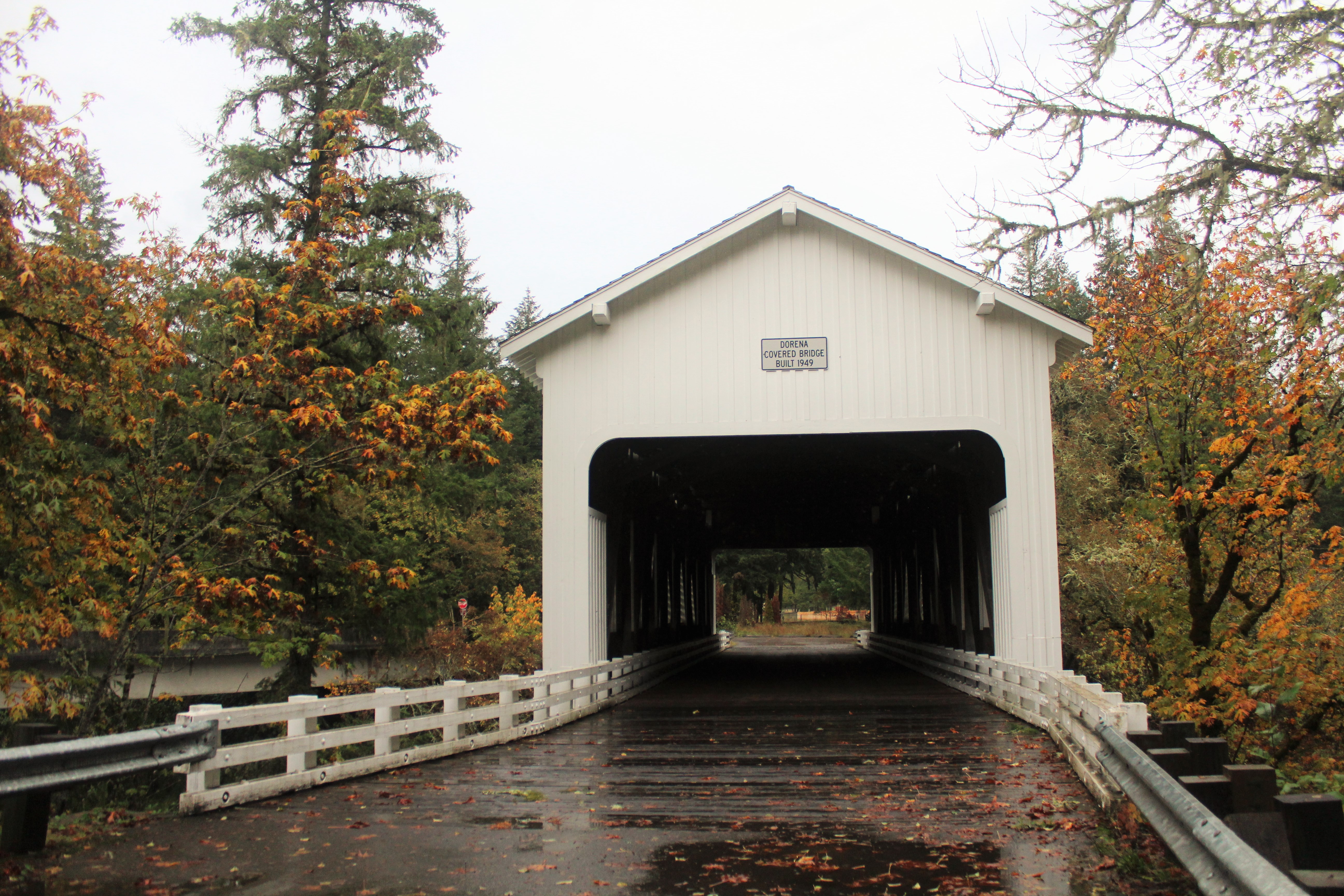 Dorena Bridge in Cottage Grove, photo by Carrie Uffindell