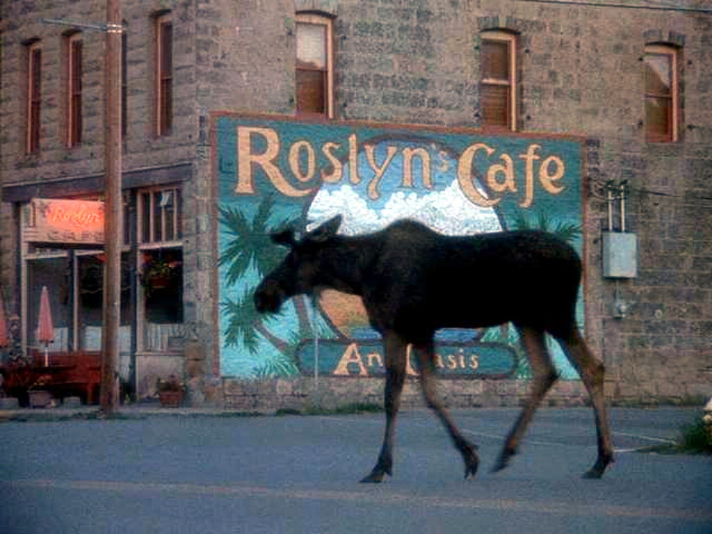northwest roadside attraction: roslyn cafe