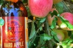 Fox-Tail Cider, Hood River, OR