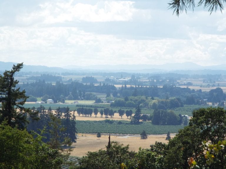 Views of the Willamette Valley from Mount Angel Abbey