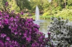 crystal springs rhododendron gardens portland