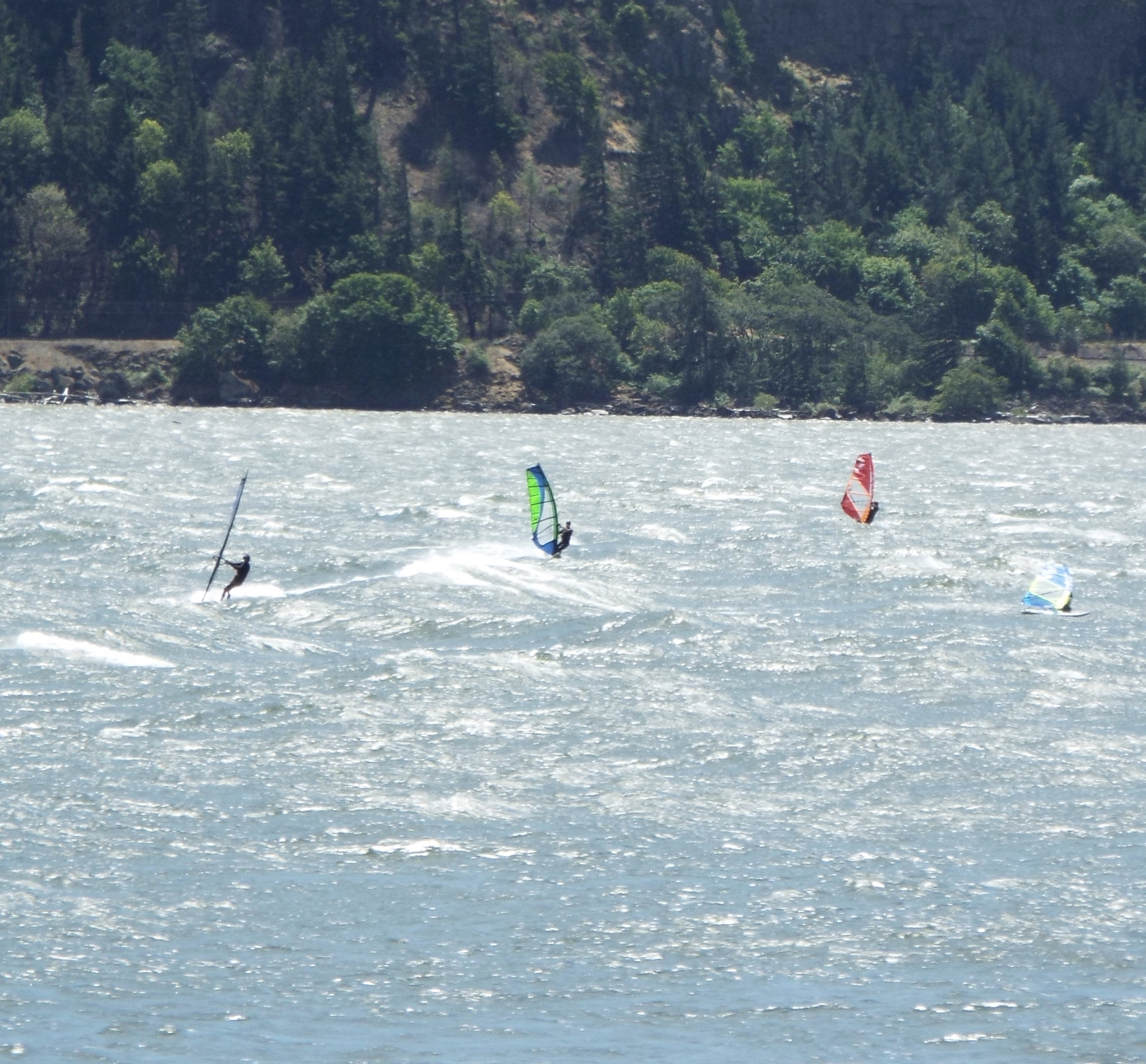 windsurfers on the Columbia River near Hood River, Oregon