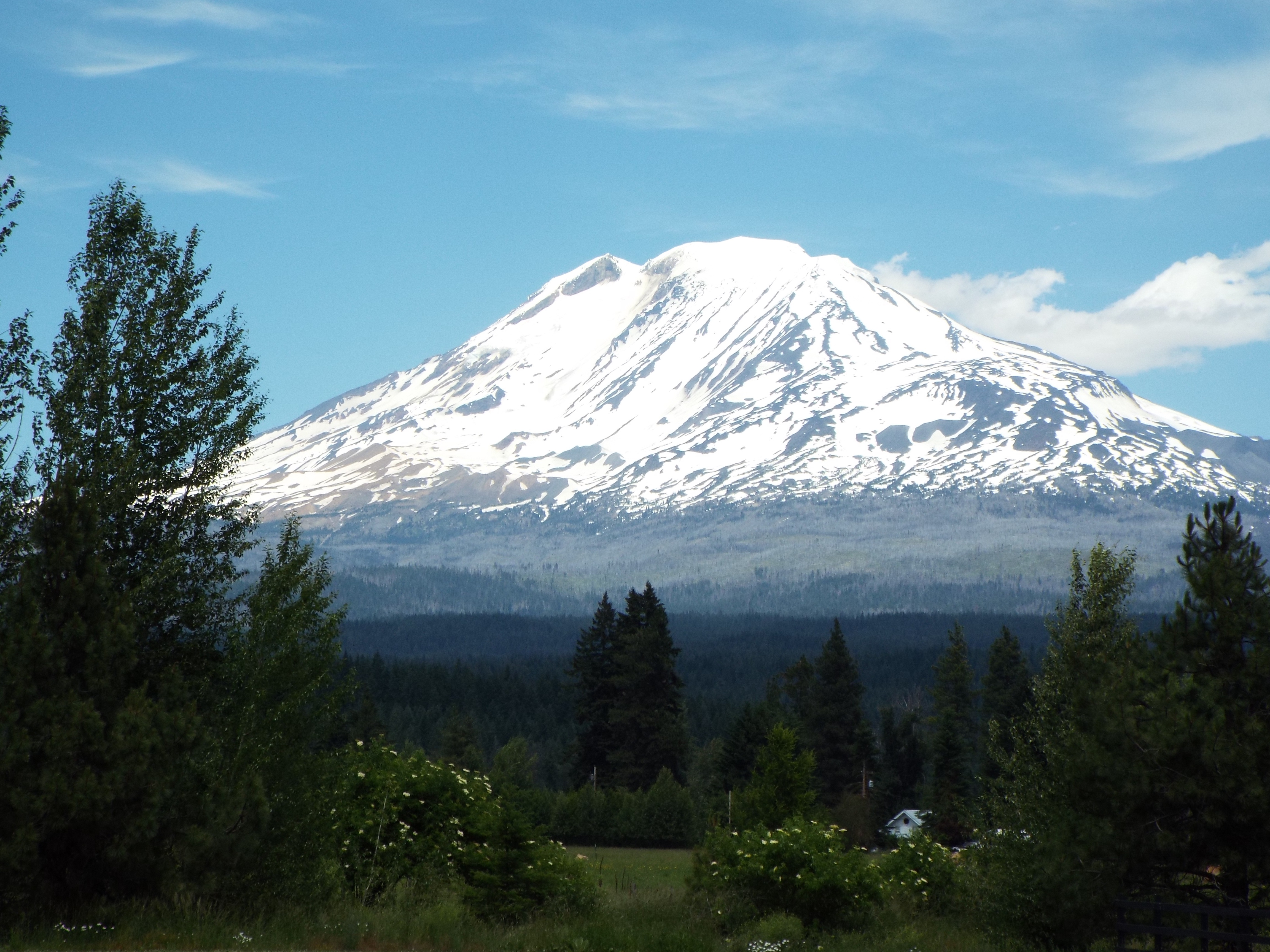 Mount Adams as seen from the Trout Lake Washington valley in June
