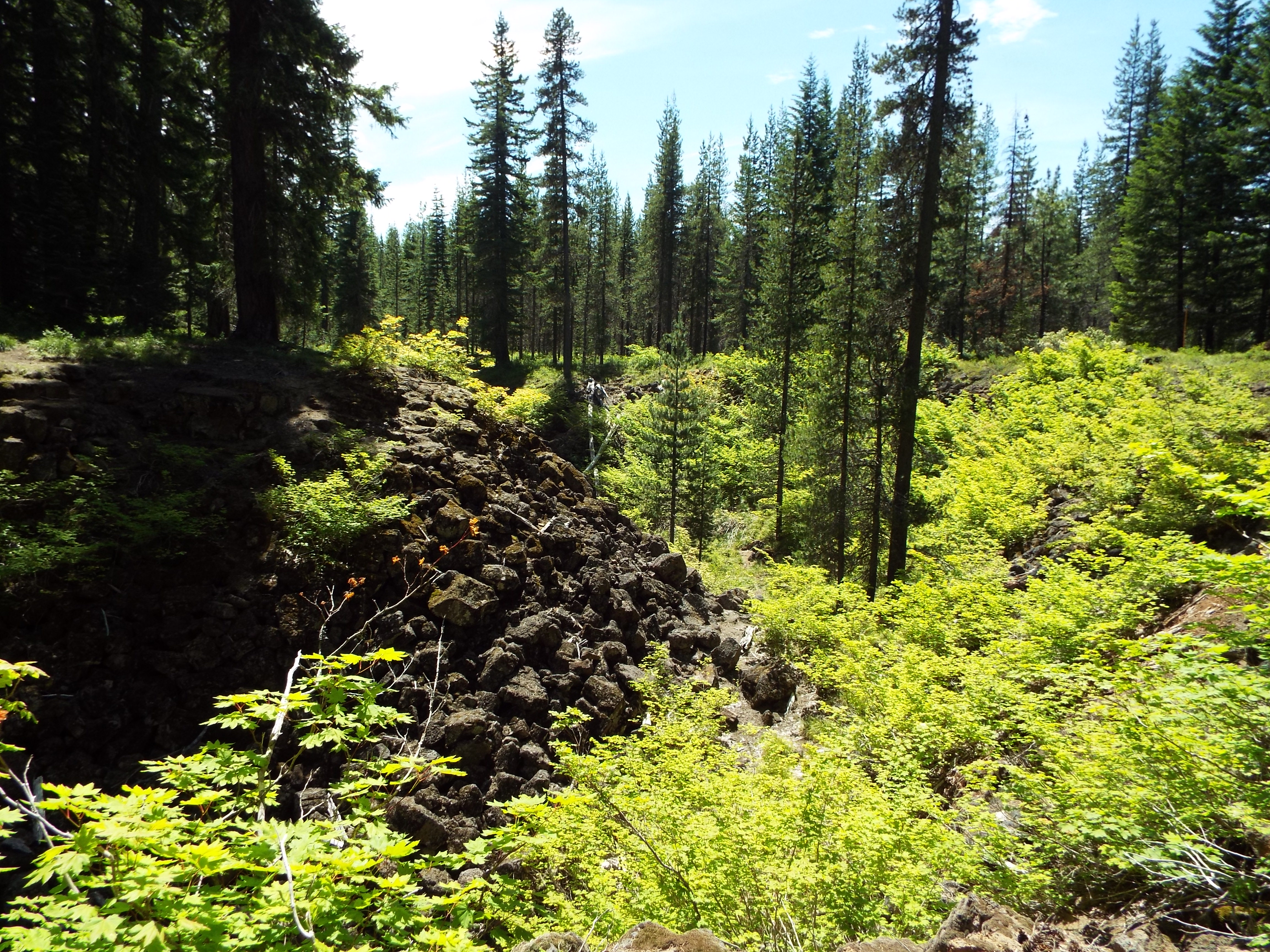 collapsed lava tube in gifford pinchot national forest in sw washington 