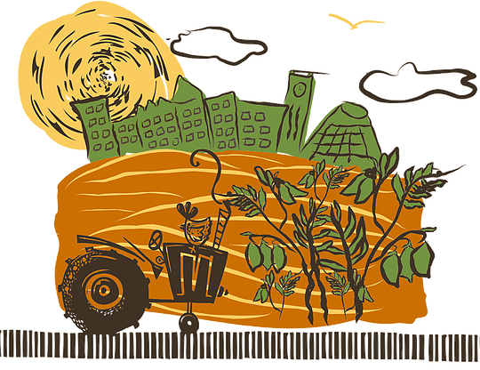 national lentil festival pullman washington logo