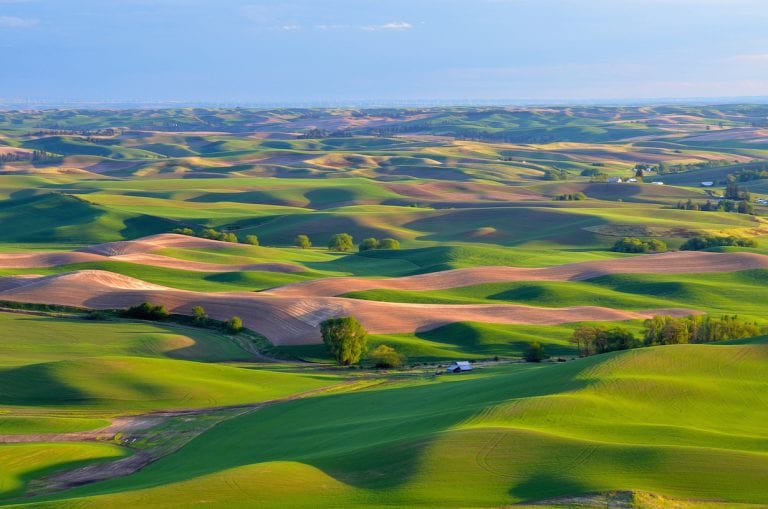 The Palouse