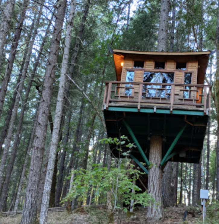 Vertical Horizons Treehouse Paradise 
