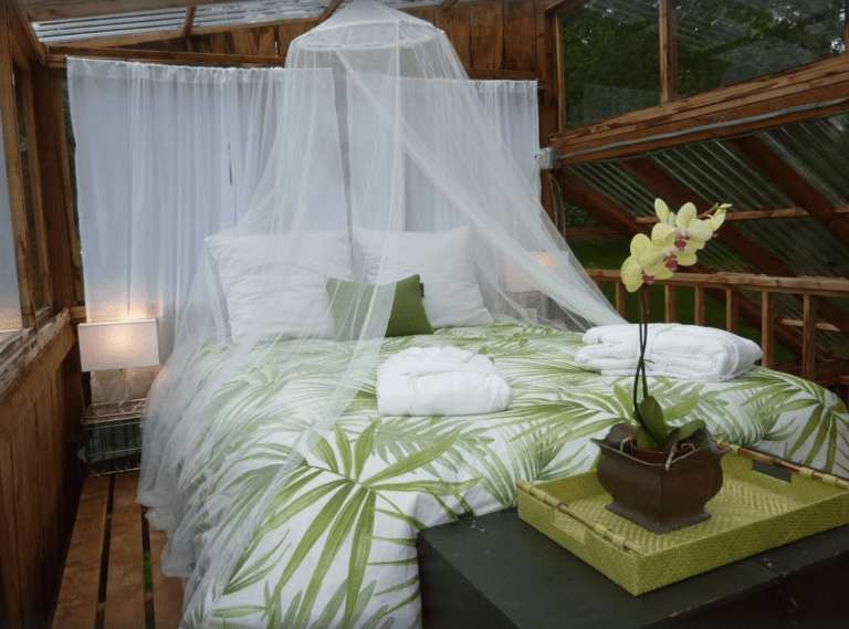 Glamping in Silverton OR greenhouse