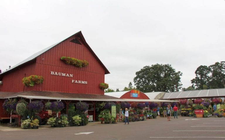 Bauman Farm and Garden pumpkin rides