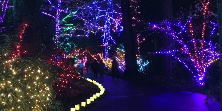 Christmas lights at the Grotto in Portland Oregon
