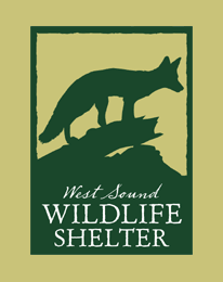 west sound wildlife shelter logo