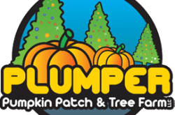 Plumper Pumpkin Farm