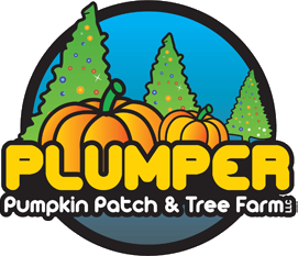 Plumper Pumpkin Farm
