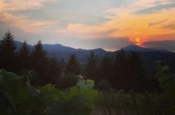 Oregon Wineries with Spectacular Views