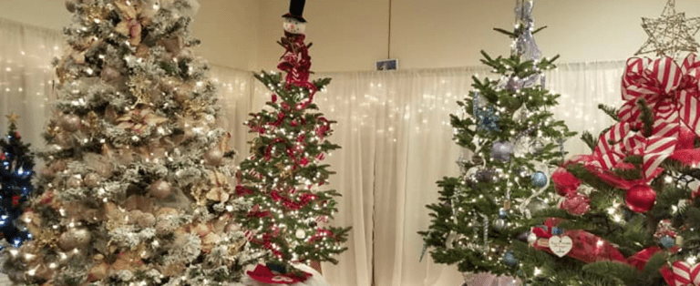 Florence Festival of Trees