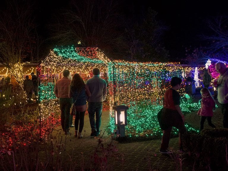 Christmas lights at Village Green Cottage Grove Oregon