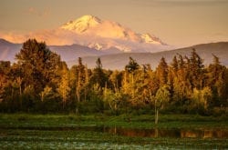 Mt Baker Sunset by Dennis Cairns in June