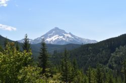 Mt. Hood by Lolo Pass Rd in summer