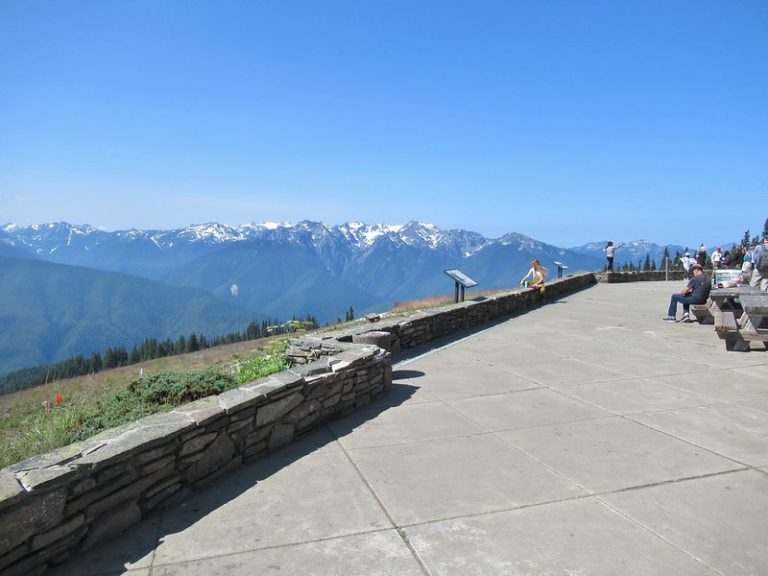 Hurricane Ridge viewpoint and visitor center Olympic National park Washington