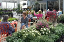 Susans garden and coffee shop corvallis oregon