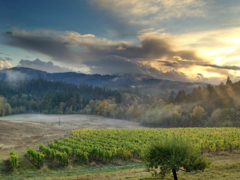 Lumos Winery Philomath Oregon