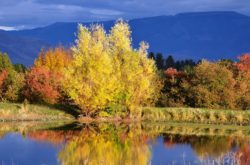 Baker County Oregon near Hell's Canyon in Autumn