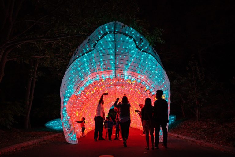 Woodland Park Zoo Wild Lanterns light festival
