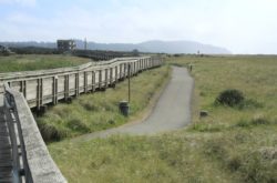 Long-Beach-Washington