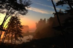 Ruby Beach on Washington coastline at sunset