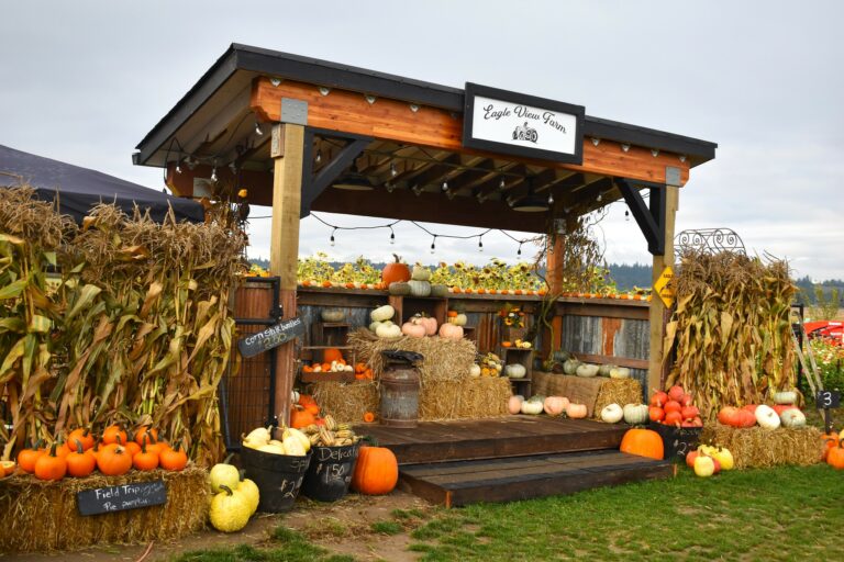 Eagle View farm pumpkin stand in Skagit Valley