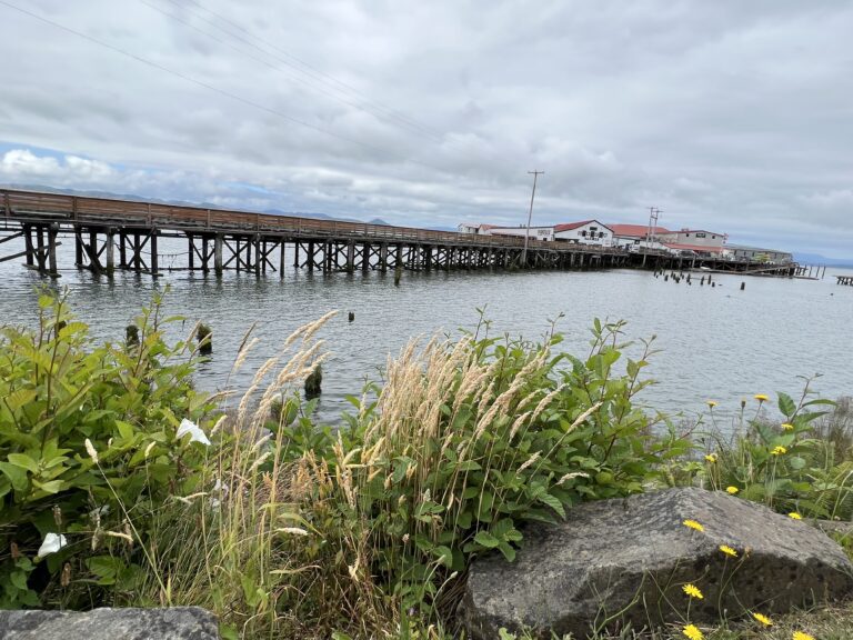 Astoria pier by Dawn for USA River Cruises 